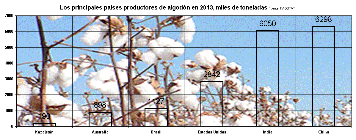 Los principales pases productores de algodn en 2013, miles de toneladas Fuente: FAOSTAT
